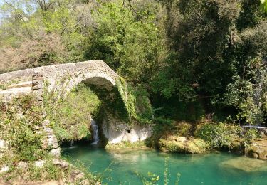 Excursión Senderismo Saint-Cézaire-sur-Siagne - Gorges de la Siagne - Photo