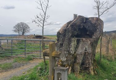 Tour Wandern Stoumont - rando chevron 13-04-2022 - Photo