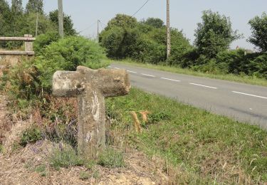 Randonnée A pied Sillé-le-Guillaume - Tour du Grand Étang - Photo