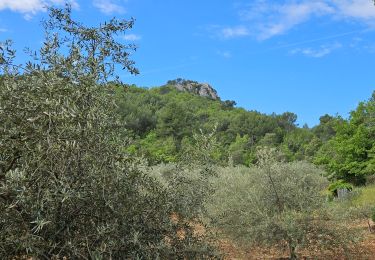 Randonnée Marche Nans-les-Pins - De Nans les pins vers les sources de l'Huveaune - Photo
