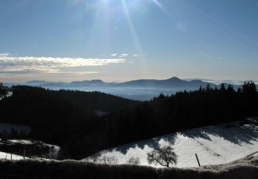 Randonnée A pied Slovenska Bistrica - Naravoslovna učna pot Kebelj (zahtevnejša) - Photo