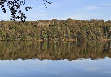 Tour Wandern Citers - 17-10-21 etang de la velle - Photo