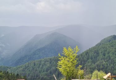 Randonnée Marche Stosswihr - Honeck depuis Gaschney - Photo