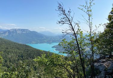 Trail Walking Nances - Belle digue - Photo