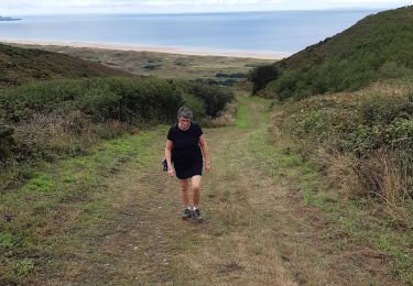 Trail Walking La Hague - Reserve naturelle marie de Vauville - Photo