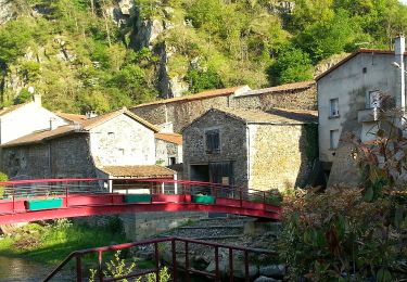 Trail On foot Saint-Floret - La Chaubasse - Photo