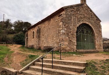 Trail On foot Roquebrune-sur-Argens - Lac des Clos-Roquebrune/Argens-01-03-23 - Photo