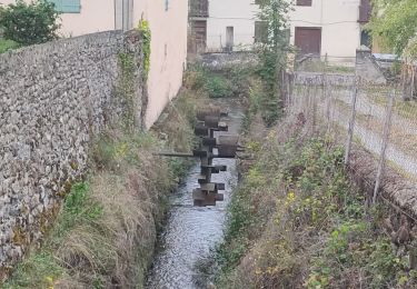 Tocht Stappen Les Cabannes - Camina des Cabannes à Luzenac - Photo