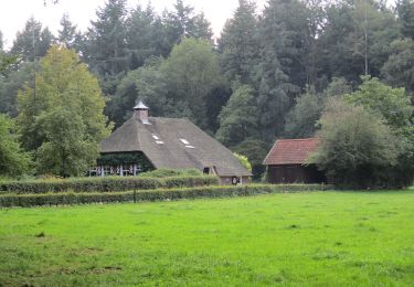 Randonnée A pied Raalte - WNW Salland - Heino/Den Alerdinck/De Colckhof - gele route - Photo