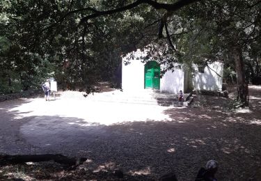 Randonnée Marche Hermigua - Canaries - La Gomera - El Cedro - jour 7 - Photo