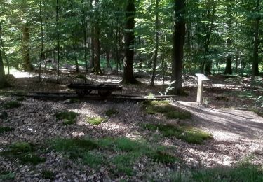 Randonnée Marche Limbourg - lim bourg et environs 17km - Photo