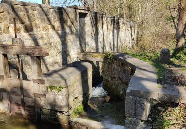 Percorso Marcia Asnières-sur-Oise - randonnée en forêt de bâillon et campagne - Photo