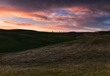 Randonnée A pied Pienza - IT-PVO4 - Photo