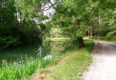 Percorso Marcia Monts - Monts - la Horaie Circuit avec routes - 16.6km 130m 3h40 - 2022 06 16 - Photo
