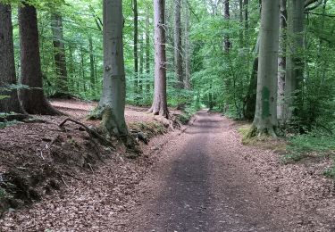 Trail Walking Esneux - parc du Mary. targnon . parc du Mary - Photo
