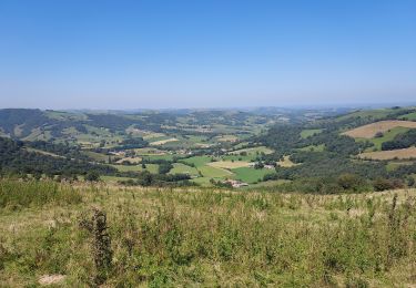 Trail Walking Pagolle - Pagolle G3 2023 - Photo