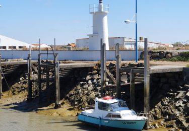 Randonnée V.T.C. Bouin - Bouin-Boucle marais et digues - Photo