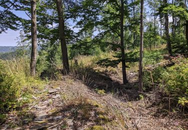 Percorso A piedi Karlovice - NS Historií a přírodou Karlovic - Photo