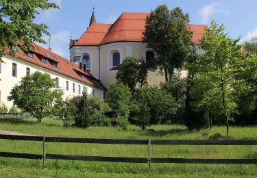 Randonnée A pied Brennberg - T 8 Frauenzell - Breitenstein - Kruckenberg - Photo