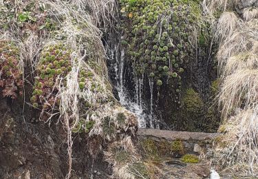 Tour Wandern Bourg-d'Oueil - Bourg d'Oueil - Photo