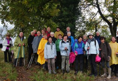 Trail Walking Riedisheim - Rixheim - Photo