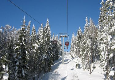 Tour Zu Fuß Fichtelberg - Fichtelberger Bergwerksweg - Photo