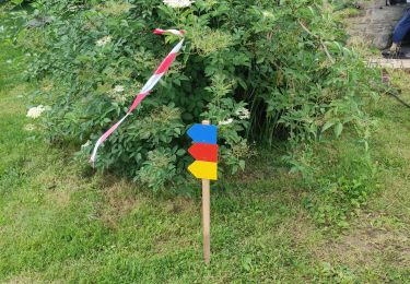Trail Walking Moustoir-Ac - moustiirac - Photo