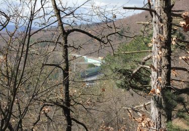 Randonnée A pied Gemeinde Gießhübl - Mittlere Gießhübler Runde - Photo