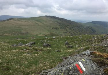 Trail Walking Murat - GR400 Tour du Cantal - Photo