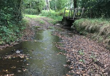 Percorso Marcia Baulon - 28.09.2019 - De Baulon-ouest à Maxent - Photo