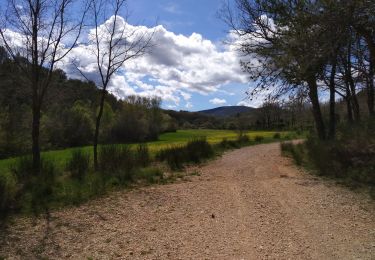 Tocht Stappen Saint-Zacharie - Chambeyron - Photo