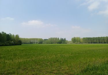 Trail Walking Antoing - BruBer/Péronnes-Lez-Antoing #1 - Photo