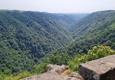 Trail Walking Camps-Saint-Mathurin-Léobazel - Camps - Mercoeur - Photo