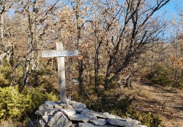 Tour Wandern Forcalquier - GR6 - Mère des Fontaines - Roche Ruine - Les Mourres - Photo