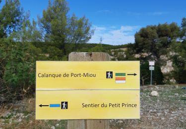 Tocht Stappen Cassis - les calanque de miou - Photo