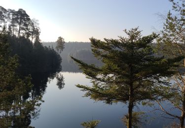 Trail Walking Badonviller - Marche autour du lac de Pierre Percée 1 - Photo