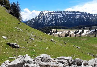 Trail Walking La Roche-sur-Foron - GLIERES / BORNES: LE CHENET - SUR COU - COL DU FREU - ROCHE PARNAL - COL DU CABLE - BALME - Photo