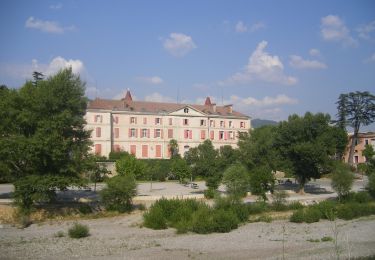 Percorso A piedi Malijai - Les chemins de Puimichel - Photo