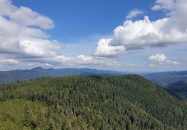 Tour Wandern Blen - Plaine et la Chatte Pendue - Photo