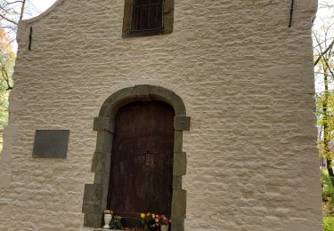 Percorso Marcia Braine-le-Château - Braine Le Château  _ Marche Privée  - Photo