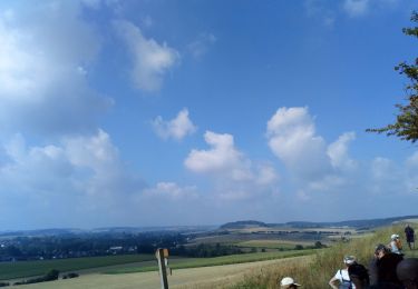 Trail Walking Licques - Pays d'opale Licques 18Aout 2022 - Photo