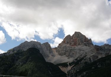 Trail On foot Toblach - Dobbiaco - IT-6A - Photo