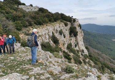 Tocht Stappen Méounes-lès-Montrieux - Barres de Cuers - Photo