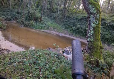 Tour Mountainbike Saint-Marcellin-en-Forez - 241020 lurieq la goutte - Photo