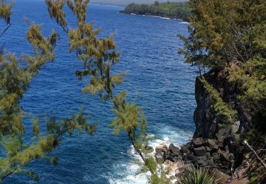 Excursión Senderismo Sainte-Rose - Boucle Anse des Cascasdes  - Photo