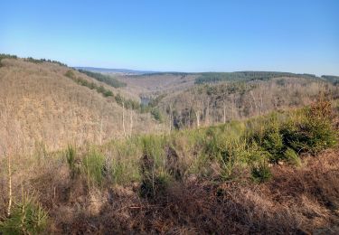 Randonnée Marche Houffalize - Engreux - Confluent des deux Ourthes var. - Photo