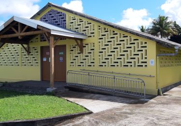 Percorso Marcia Basse-Pointe - Boucle Morne Balai - Demare - Photo