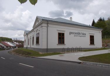 Percorso A piedi Salgótarján - Eresztvényi bányák tanösvény - Photo