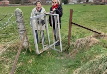 Trail Walking Estinnes - Vellereille le sec - Photo