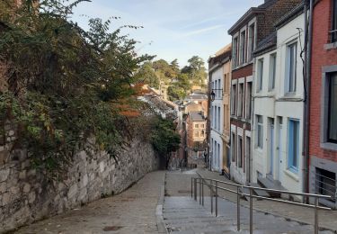 Trail Walking Liège - petit tour dominical coteaux batte  - Photo